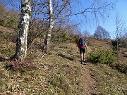 35 Risaliamo la macchia tra betulle, ginepri ed erica